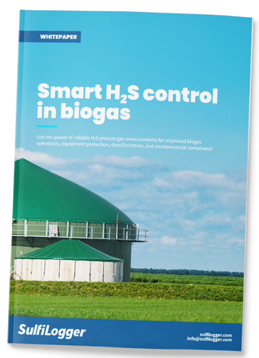 Whitepaper Ein Leitfaden Zu H2S In Biogas